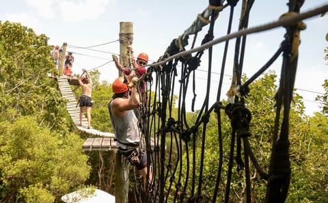 Kite Jeep Tour and Tree Canopy Adventure in Praia da Pipa