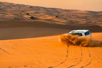 Desert Safari with Camel Riding and BBQ Dinner 4