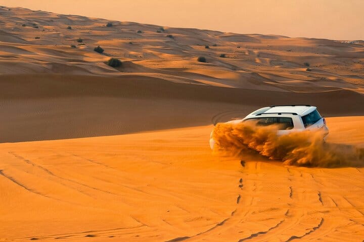 Desert Safari with Camel Riding and BBQ Dinner 4