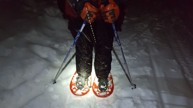 SnowShoe Tour near Brasov photo 3