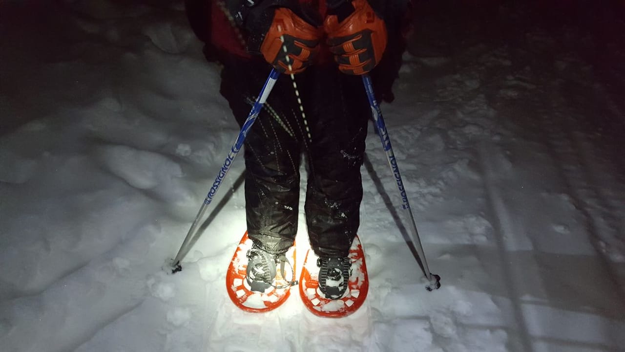 SnowShoe Tour near Brasov 3