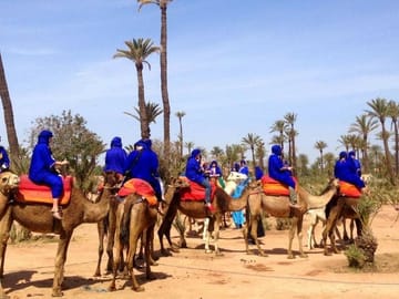 Majorelle Garden Tour and Camel Ride in Marrakech
