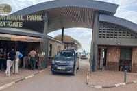 Two days Maasai Mara guided tour 5