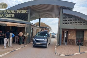 Two days Maasai Mara guided tour