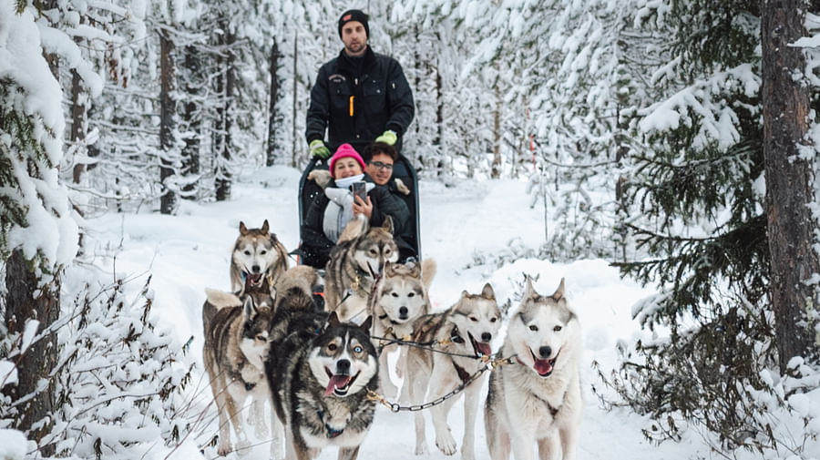 Husky Rde Husky Park Visit With Jenga (500 M) Husky Ride - Visit Rovaniemi