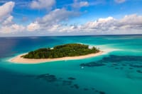 Explore Mnemba Island’s turquoise waters, snorkel over colorful coral reefs, and enjoy drinks and lunch on this unforgettable full-day adventure!