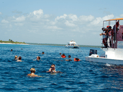 La Romana: Tour Isla Catalina con Snorkel y Playas 4