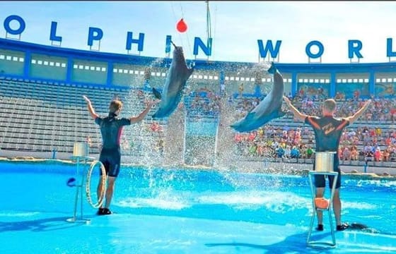 Dolphin World Agadir from Taghazoute