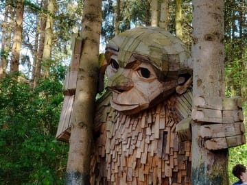 The Forest Tower and Forgotten Giants-A day tour from Copenhagen