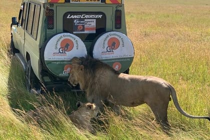 9 Days Best of Kenya Wildlife Safari on a 4WD