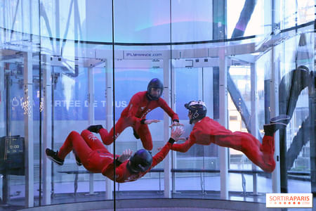 SkyBound Paris: An Inside Flight Adventure