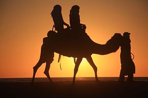 3-Day Private Sahara Desert Tour from Marrakech to Fes