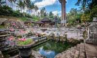 Best of East Bali Including Temples and Waterfall 4