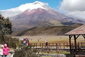 Private Tour from Quito to Cotopaxi Volcano + Rose Plantation