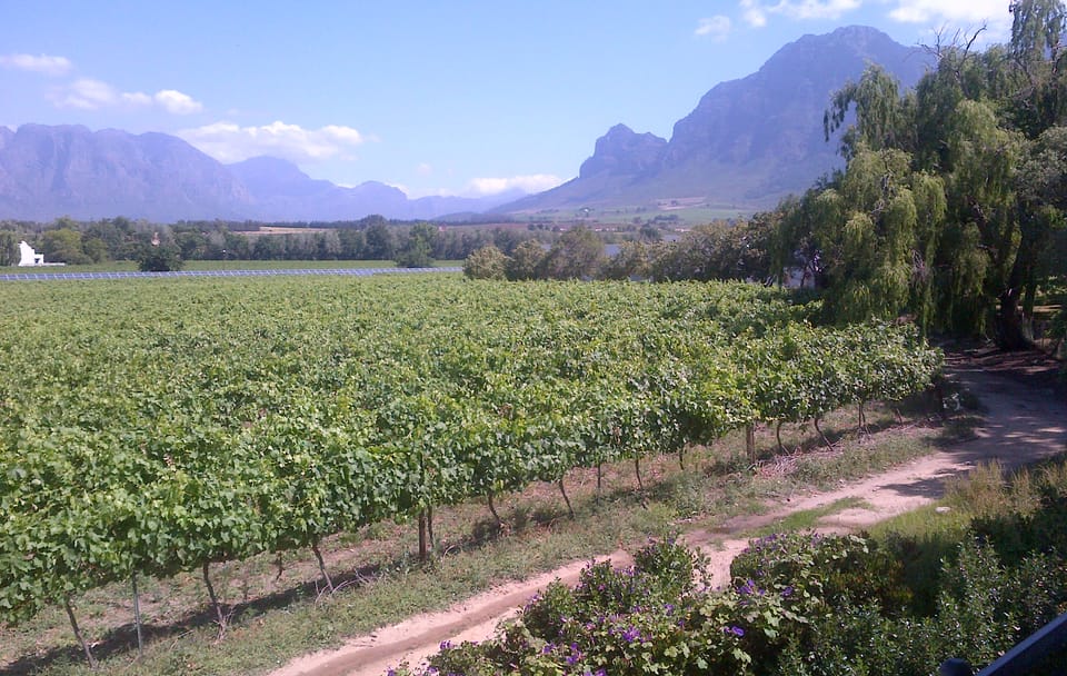 Private Full-Day Stellenbosch Wine Tour from Cape Town