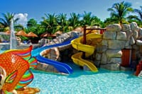Splash Jungle Water Park Entry – Fun for All Ages 6