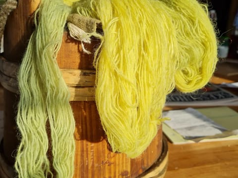 Experience the Settlement Period Farm of Eirik the Red and Leif Eiriksson, photo 5