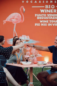 Wine Tour and Tasting of 4 Rosè Valtenesi Wines in Polpenazze