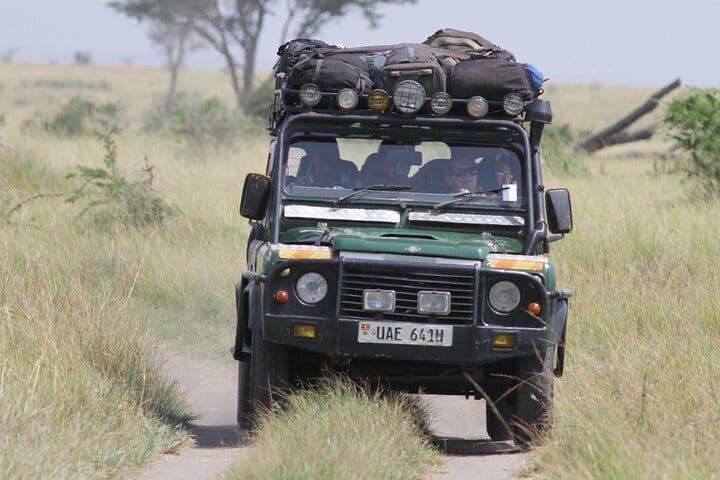 8-Day Private Uganda Safari Tour