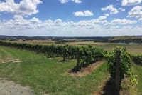 Scenic Private Yarra Valley Wine Tour  3