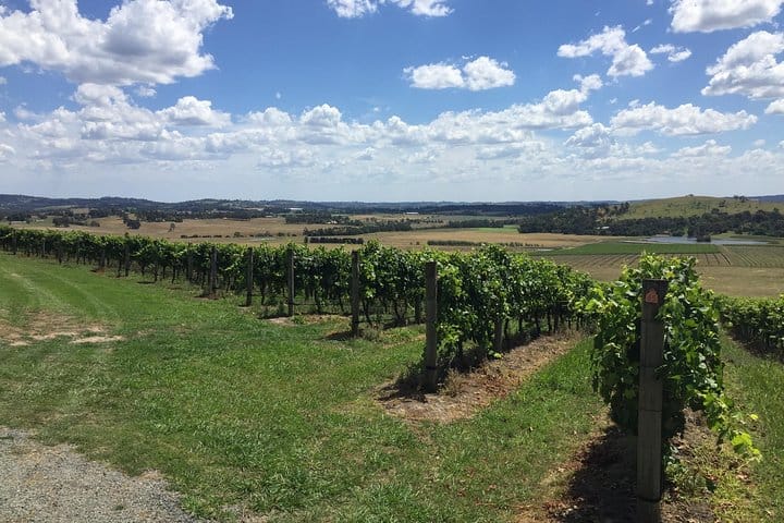 Scenic Private Yarra Valley Wine Tour  3