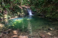 Immersion In An Untouched Ecosystem – Adventurous Full Day Hiking Tour 7
