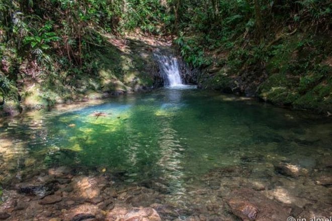 Immersion in an Untouched Ecosystem – Adventurous Full Day Hiking Tour 7