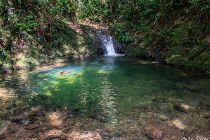 Immersion In An Untouched Ecosystem – Adventurous Full Day Hiking Tour 7