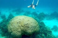 Phi Phi Island Exploration by Private Longtail Boat & Lunch 10