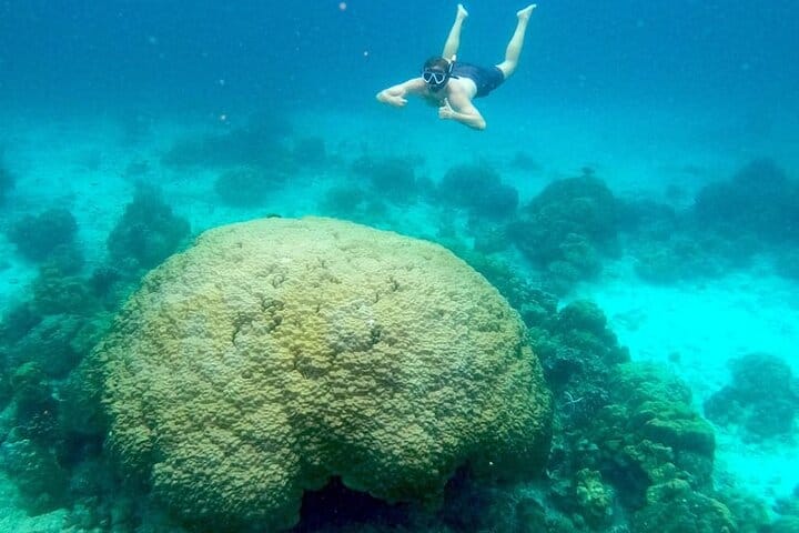 Phi Phi Island Exploration by Private Longtail Boat & Lunch 10
