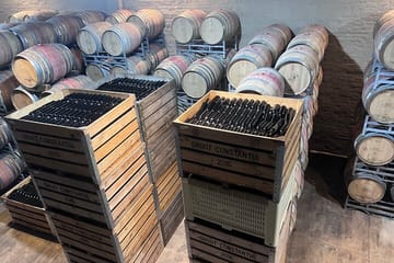 Full Day Wine Tasting Tour in Stellenbosch, and, paarl