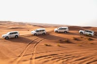 Dubai: Desert Safari, Camel Ride, Show & Optional Dinner 3