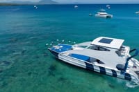Puerto Plata Private Catamaran Snorkeling, BBQ & Open Bar 8