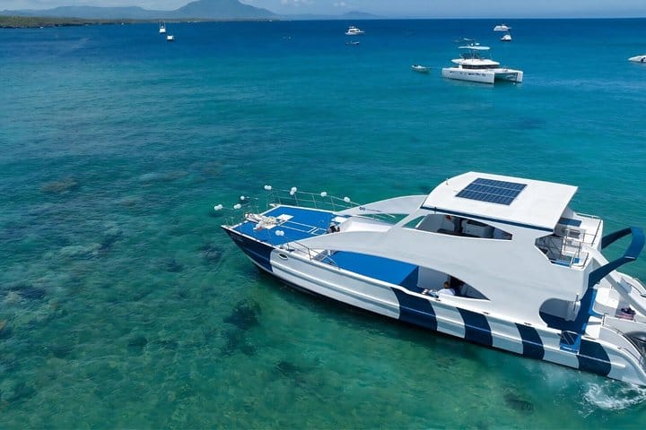 Puerto Plata Private Catamaran Snorkeling, BBQ & Open Bar 8