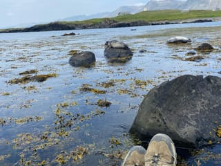 Resting on the beach of Ytri Tunga near seals on the rocks