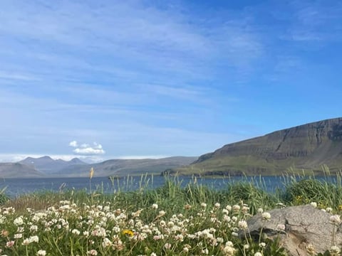 Private Transfer to Hvammsvík, photo 3