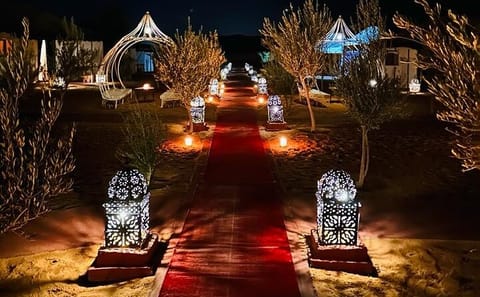 Luxury 2-Day Desert Adventure from Fes to Azrou and Erfoud
