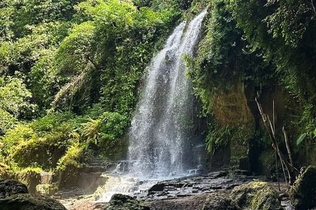 Bali Culture and Hidden waterfall Tour