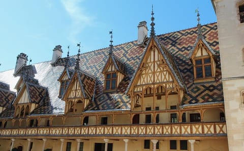 Private Wine Tasting Tour in Côte-d'Or from Paris