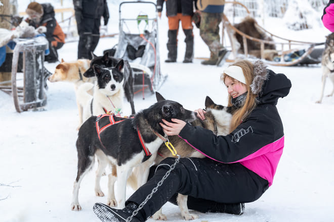 Rovaniemi: Insider 10 km Husky Self‑Drive Adventure