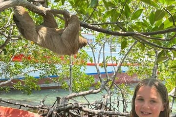 Wildlife Encounter and Chocolate Tour in Coxen Hole