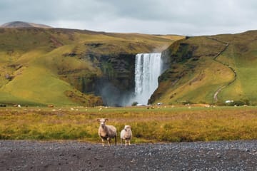 Private South Coast Tour with Laugarás Lagoon in Iceland
