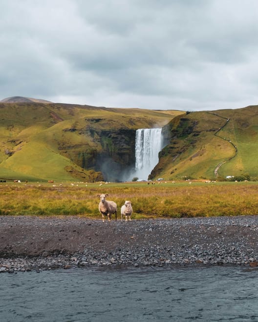 South Coast Private Tour with Laugaras Lagoon