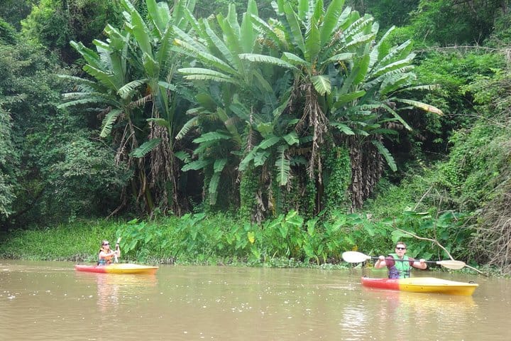 banana leaves