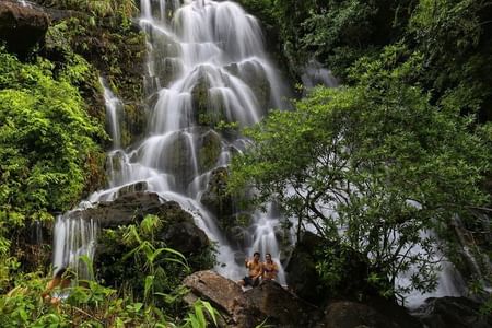 Botanic Garden & Cave Adventure Tour in Quang Binh, Vietnam