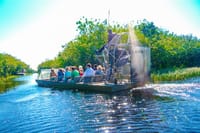Everglades Airboat Experience – Wildlife & Wetlands 8