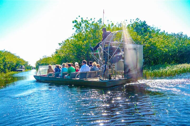 Everglades Airboat Experience – Wildlife & Wetlands 8