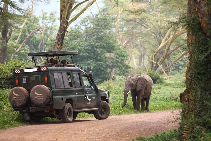 6 Day Luxury Lodge Wildlife Safari :Northern Tanzania on 4x4 Jeep 9