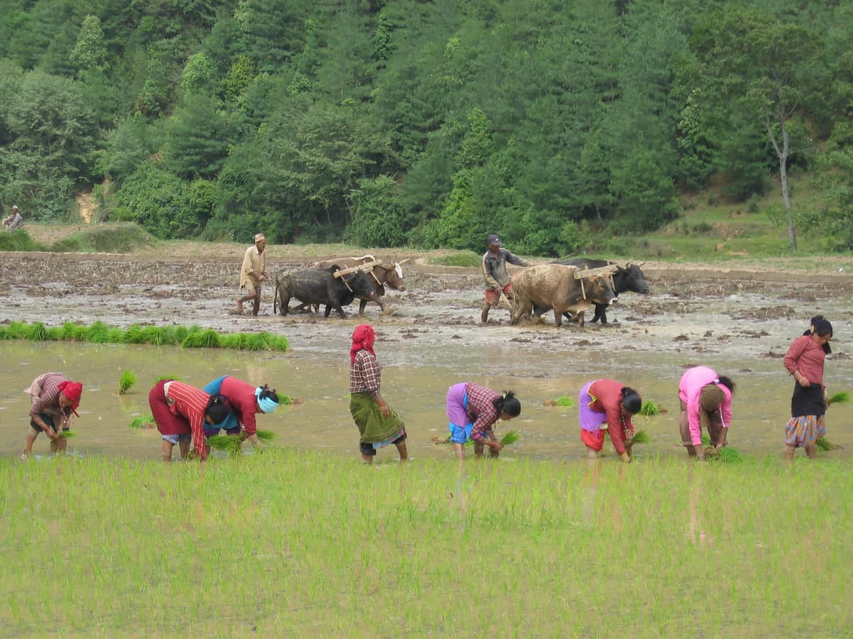 19 Days Mera Peak Climbing & Expedition – One Life-Changing Himalayan Adventure