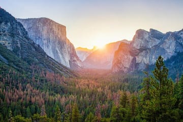 From SFO-Yosemite National Park-Enchanting Full Day Tour in SUV